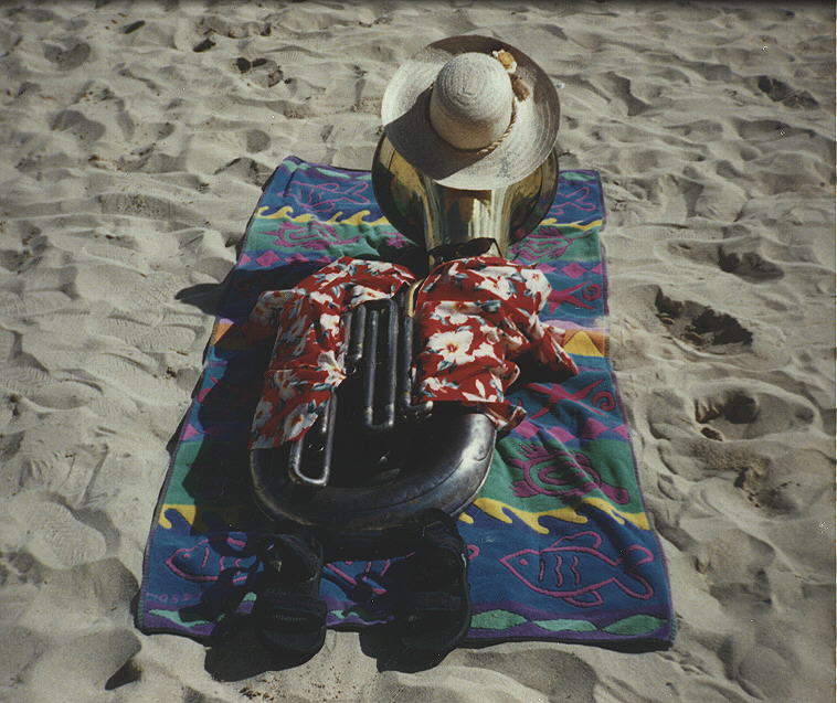 Tuba on the Beach